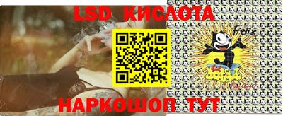 прущие крисы Гатчина