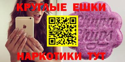 прущие крисы Гатчина