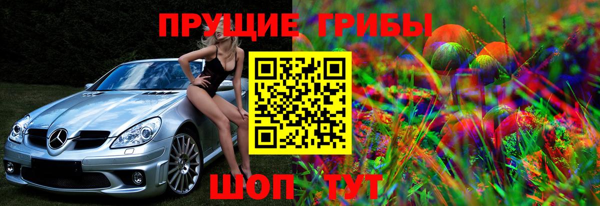 Галлюциногенные грибы мицелий  Вход с VPN  Галлюциногенные грибы Psilocybine cubensis  Назрань 