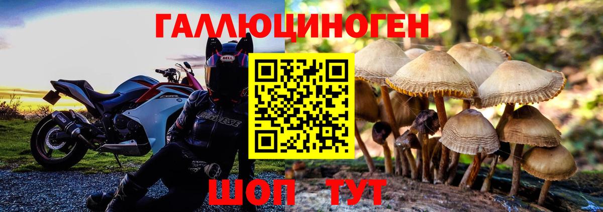 Галлюциногенные грибы Psilocybe Назрань